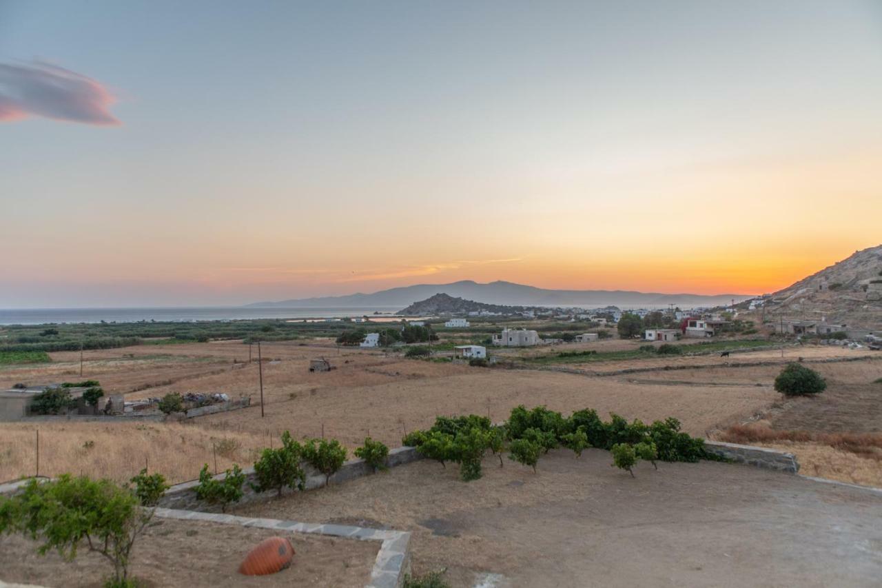 Naxian Pearl Daire Mikri Vigla Dış mekan fotoğraf
